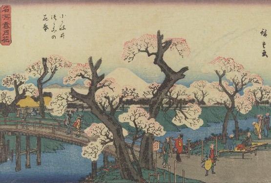 Hiroshige, Kokanei Tsutsumi no hanazakari
