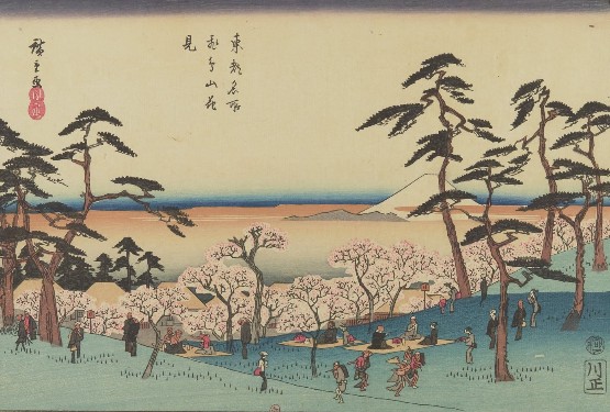 Utagawa Hiroshige, Asukayama Hanami