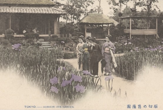 Carte postale « Tokyo Horikiri », 1928, Gallica
